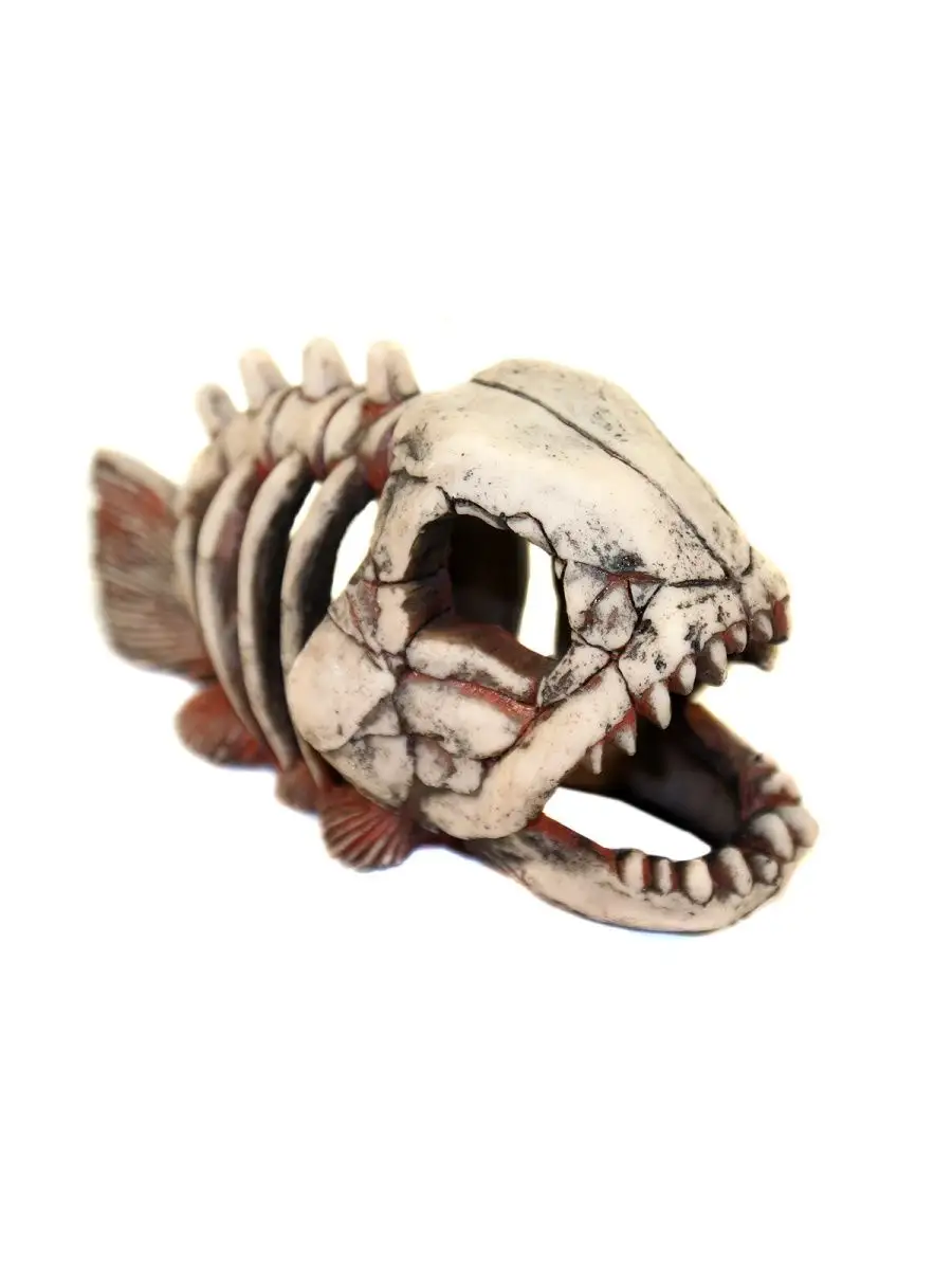 1 22 рыба. Грот "DEKSI" - скелет рыбы пластиковый №901. Грот Декси скелет рыбы. Грот "Декси" череп динозавра (1003).