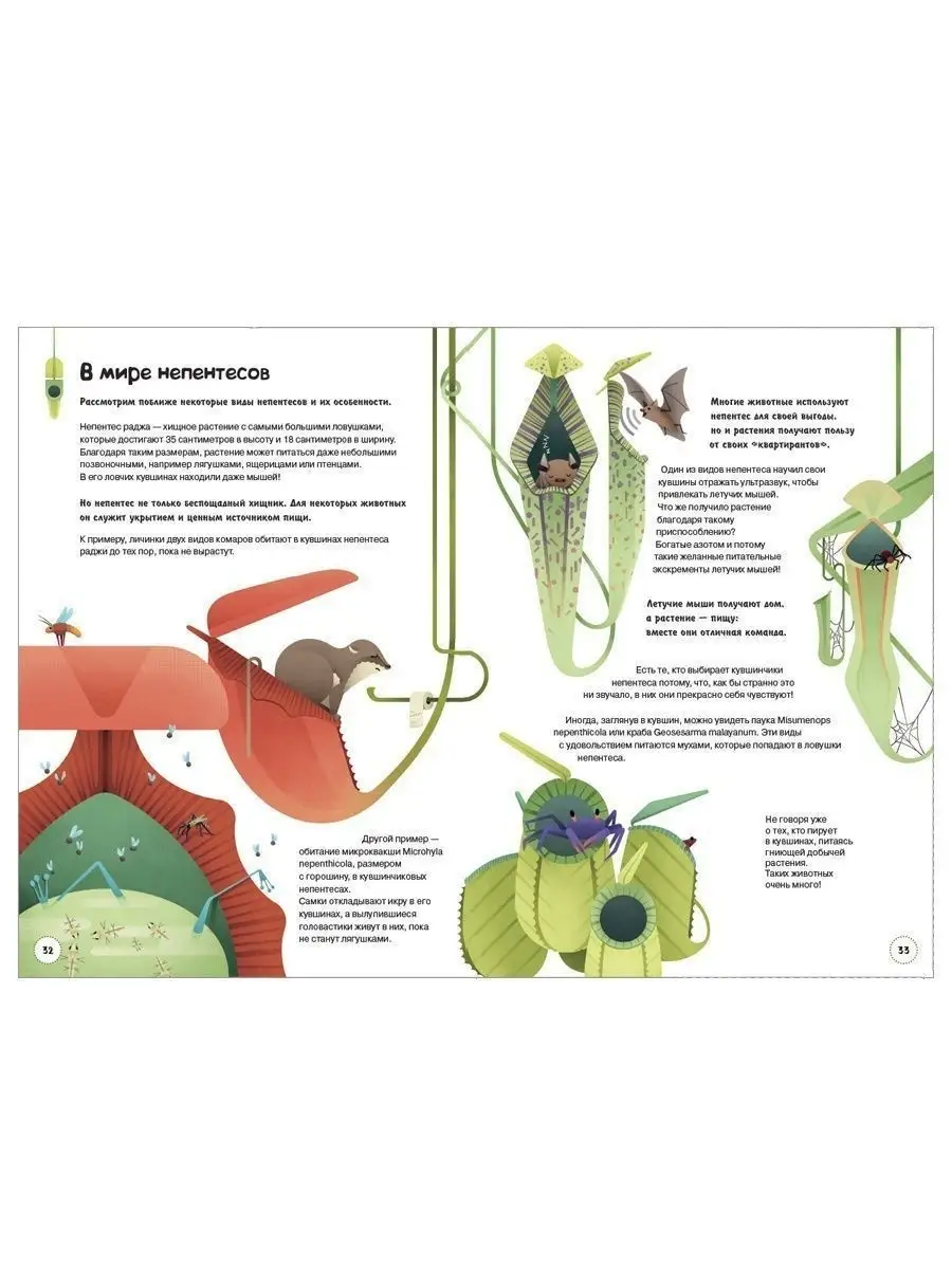 Всё о хищных растениях для самых любознательных Открытая книга 9880059  купить в интернет-магазине Wildberries