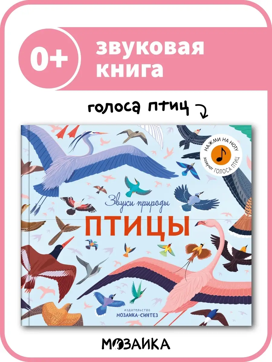 Птицы (Звуки природы), звуковая книга МОЗАИКА kids 9893129 купить в  интернет-магазине Wildberries