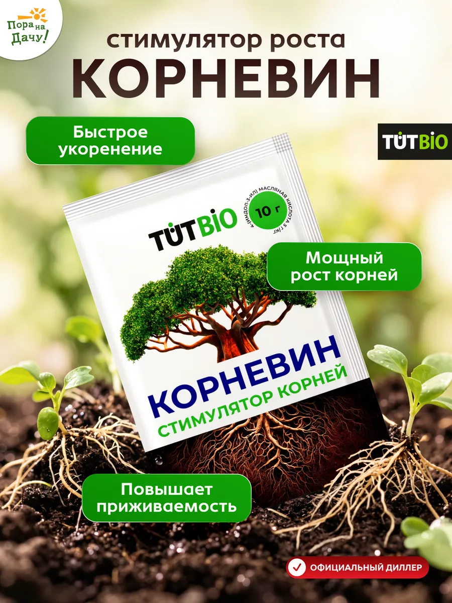 Корневин Вайлдберриз
