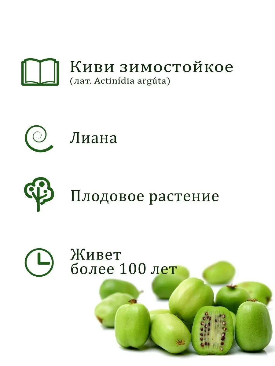 Набор для выращивания растений и цветов в горшке для дома Вырасти, Дерево!  9945044 купить за 338 ₽ в интернет-магазине Wildberries