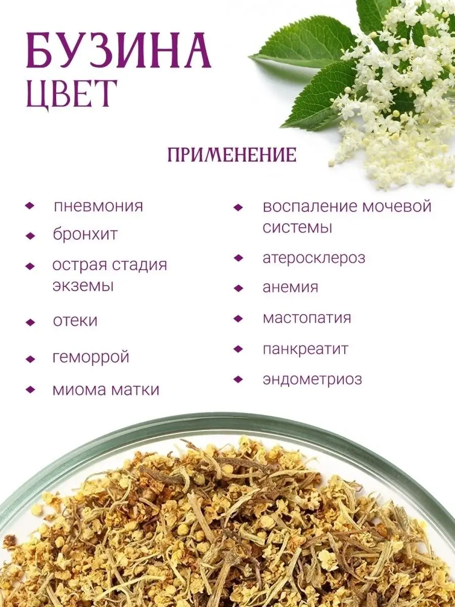 Бузина черная: польза и вред для здоровья, применение - FitoMarket